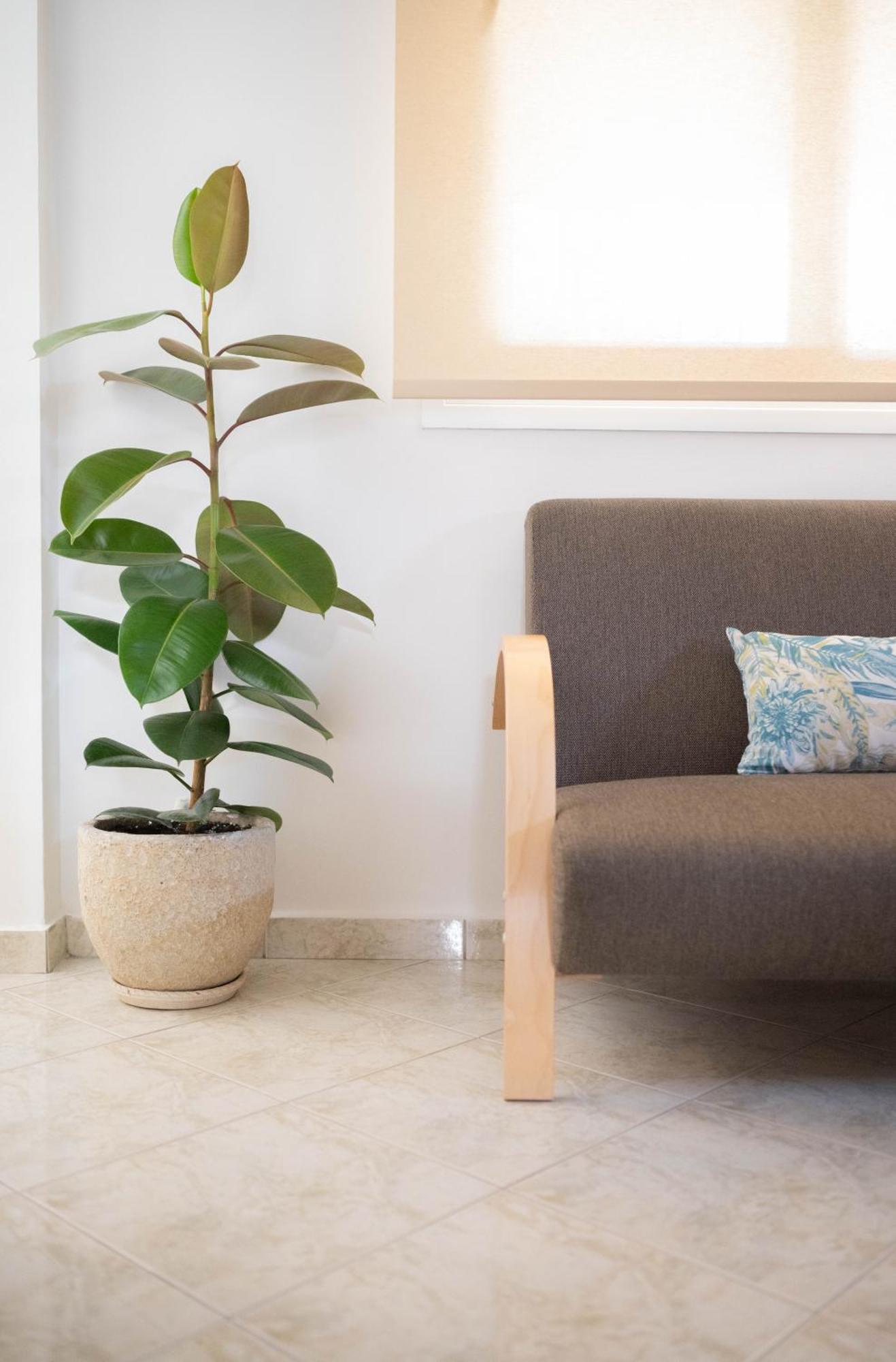 G&G Apartment Kiaton Ngoại thất bức ảnh